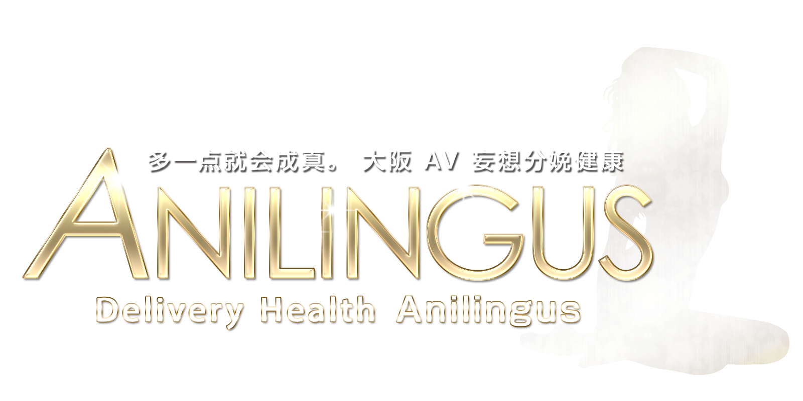 Anilingus Osaka 位于大阪茨城县的 AV 错觉交付健康中
